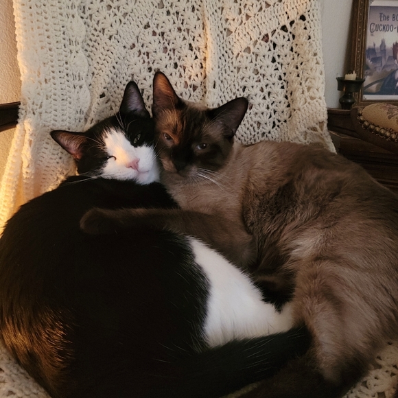 â ď¸ ALLERGY ALERT! â ď¸ - Picture 2 of 8